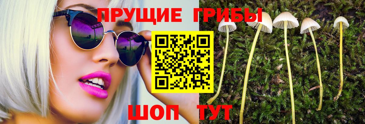 Галлюциногенные грибы MAGIC MUSHROOMS  Вход с VPN  Южно-Сахалинск  Псилоцибиновые грибы MAGIC MUSHROOMS 