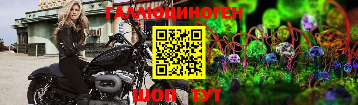 Галлюциногенные грибы MAGIC MUSHROOMS Южно-Сахалинск
