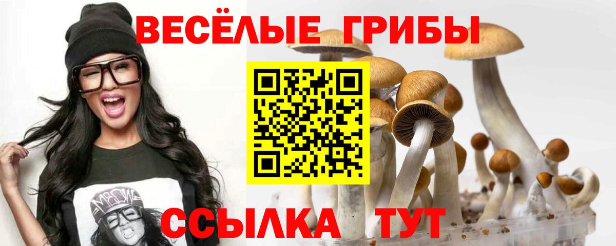 Галлюциногенные грибы Южно-Сахалинск